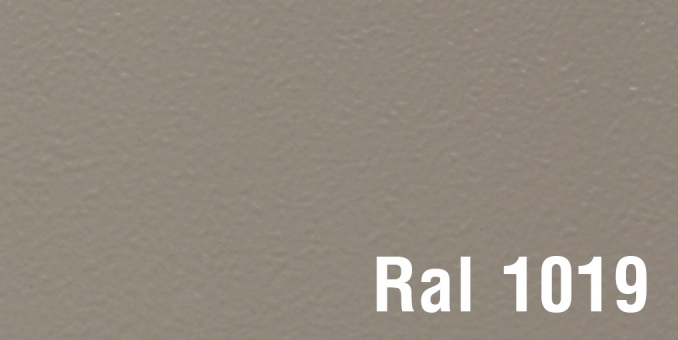 Ral 1019